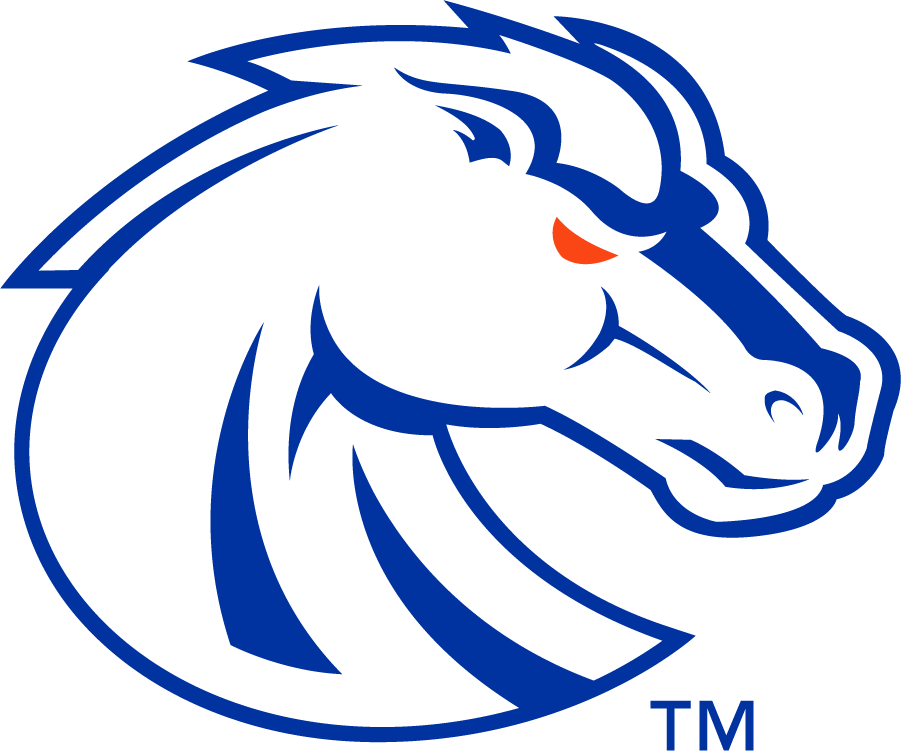 Boise State Broncos 2013-Pres Secondary Logo v4 iron on transfers for T-shirts